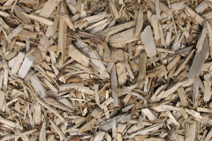 biomass boilers Fishburn